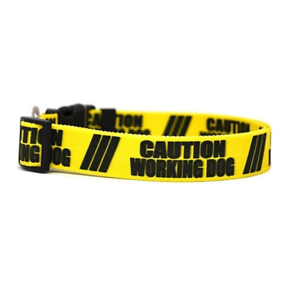 Yellow Dog Design " Caution Working Dog" 1" Wide Small Collar (10" - 14")